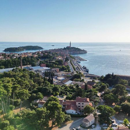 Villa Dobravac Wine Estate Rovinj Eksteriør billede